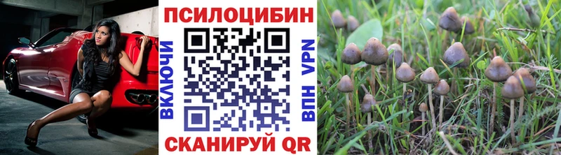 Псилоцибиновые грибы Psilocybine cubensis где продают наркотики Холмск