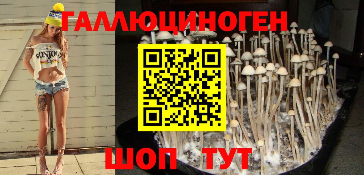 Галлюциногенные грибы Magic Shrooms  Вход с VPN  Холмск 